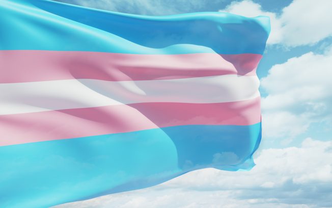 Transgender flag waving in the wind against a cloudy sky.